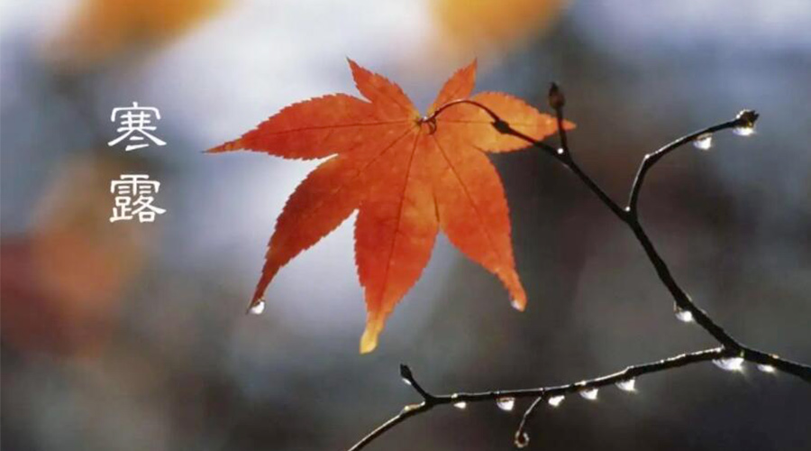 寒露時(shí)節(jié)！金環(huán)電器提醒大家要注意的事項(xiàng)