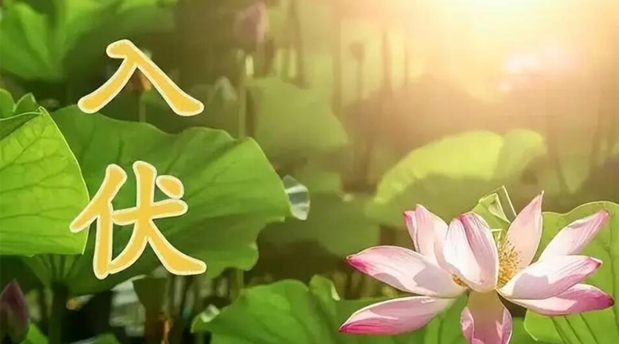 入伏天來襲！金環(huán)電器提醒大家要注意的事項