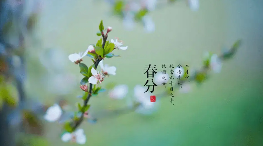 春分雨水多易生菌！金環(huán)電器提醒你衣物要注意處理