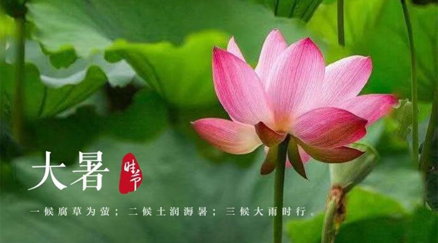 大暑時(shí)節(jié)！金環(huán)電器提醒大家要注意的事項(xiàng)