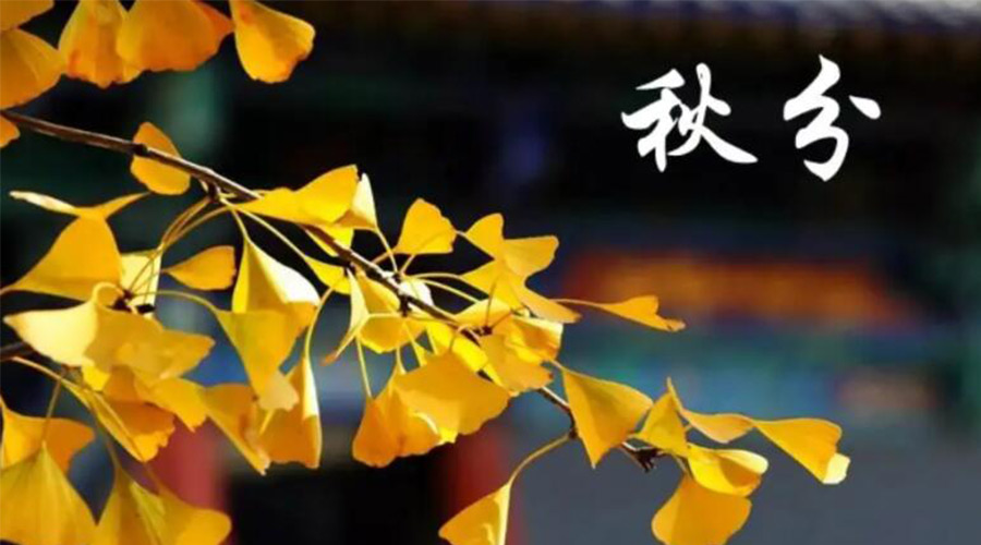 秋分時(shí)節(jié)！金環(huán)電器提醒大家要注意的事項(xiàng)